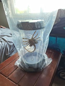 Movie theatre popcorn bucket