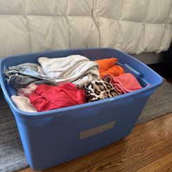 Huge Trendy Women’s Clothing Lot