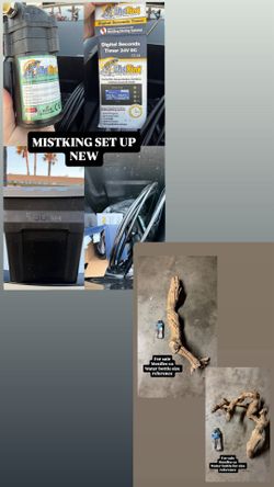 REPTILE SUPPLIES