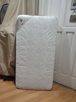 Sealy crib or toddler mattress