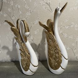 Pair of Luxurious Swans