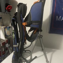 REI Piggyback Toddler Backpack Carrier