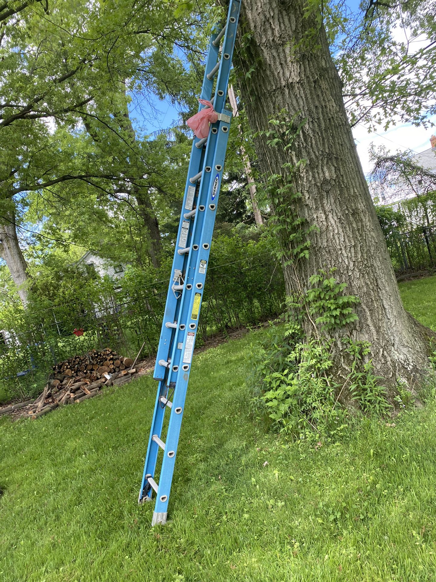Ladder 20ft