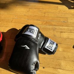Everlasting 12 Oz Pro Style Boxing Gloves And Focus Mits