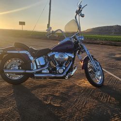 01 Harley Softail Springer