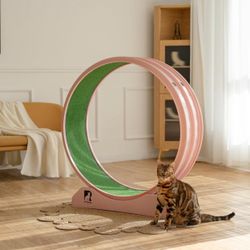 Pink Cat Exercise Wheel