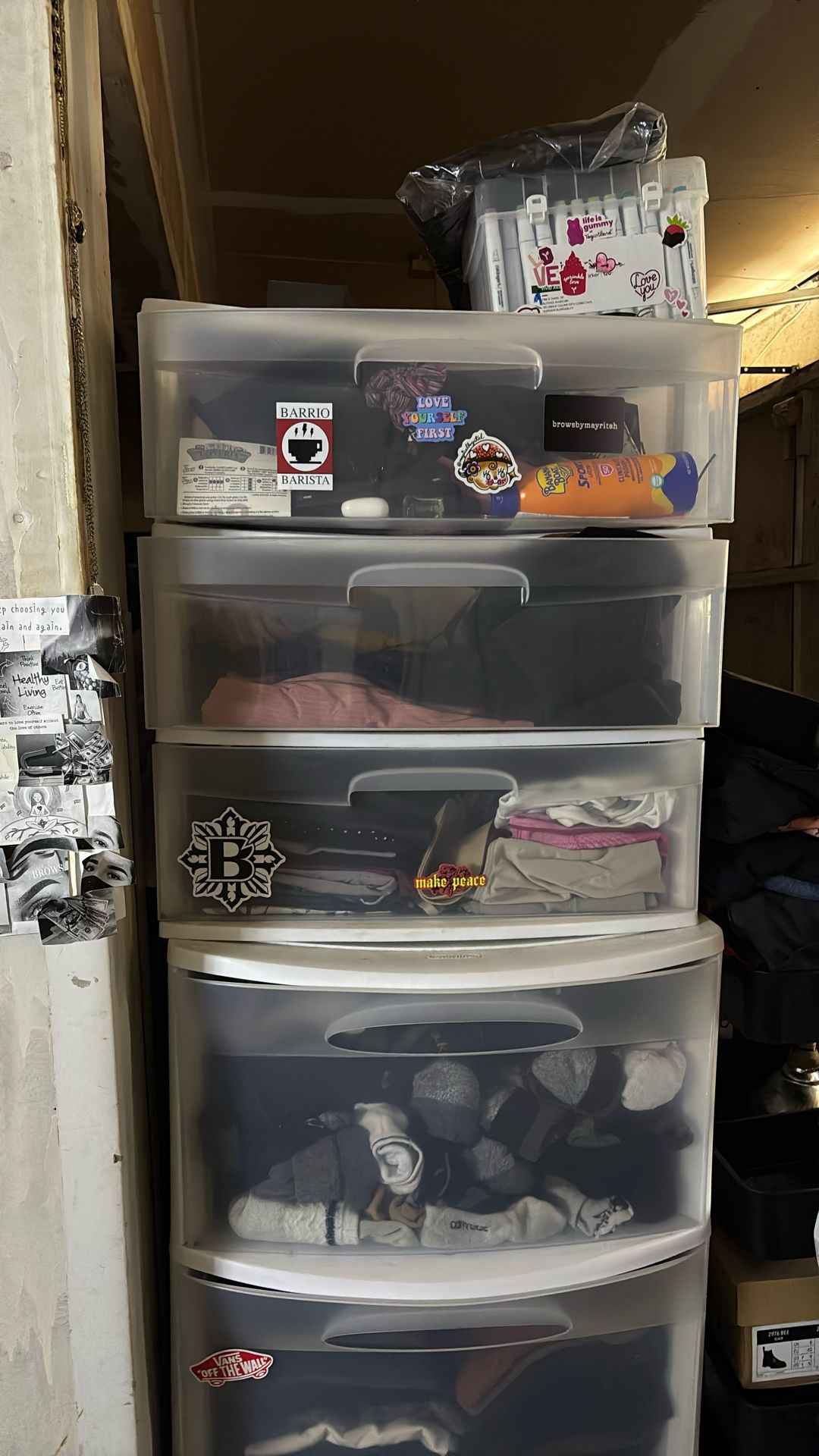 Storage Bins Containers