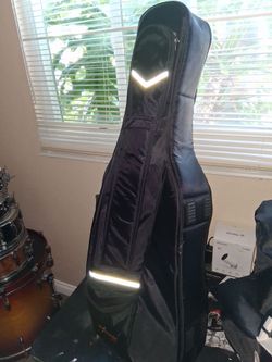 Padded chello case