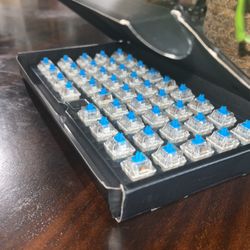 Blue switches /