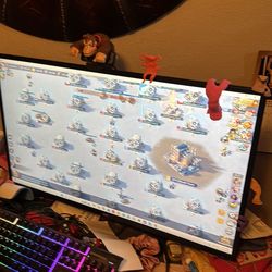 Good working monitor