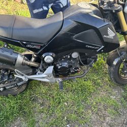 Honda Grom