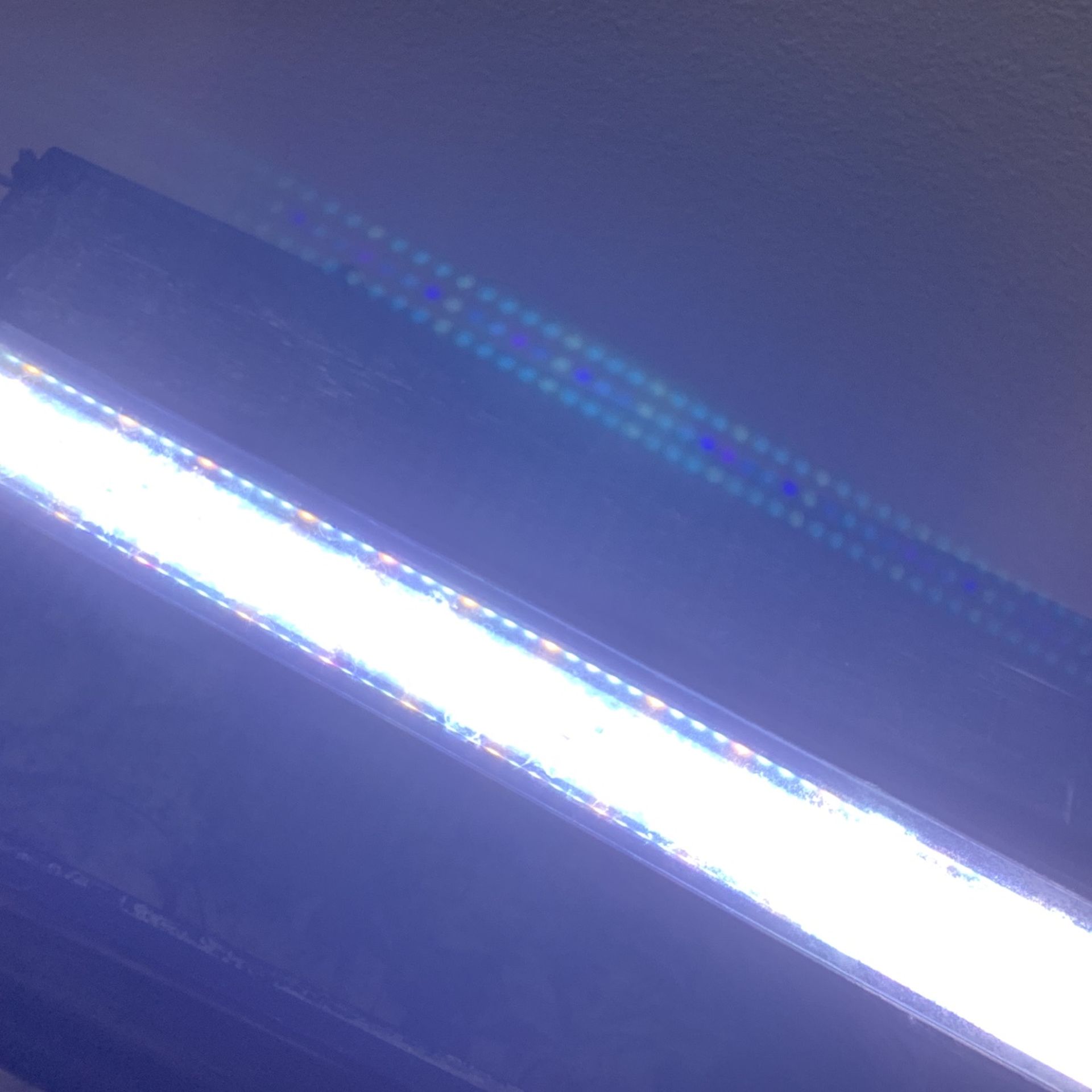 Aquarium Light