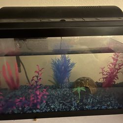 Fish Tank With filter, Food, Cleaning Tools 