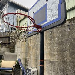 Free Adjustable Basketball Hoop