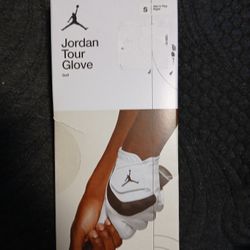 Jordan Tour  Glove Small