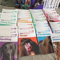 SRA Specific Skills Series for Language Arts