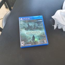 Hogwarts Legacy Deluxe Addition