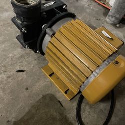 Reeflo hammerhead Pump 