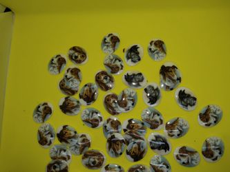Dog Breed Portrait Cabochons Lot