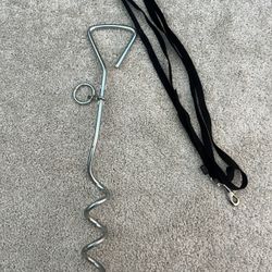 Dog stake and leash - both for $10!