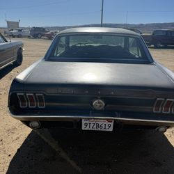 1967 Ford Mustang (Salvaged)