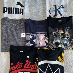 Boys Youth T-Shirts Puma, Ecko Untd, Calvin Klein, Tommy Hilfiger Sz 8 LOT of 8
