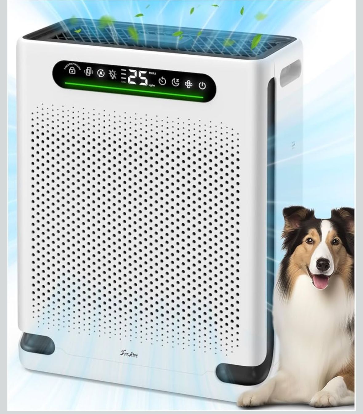 Air Purifiers for Home Large Room 