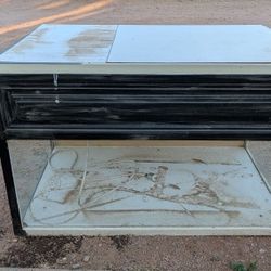 Custom Lizard Cage