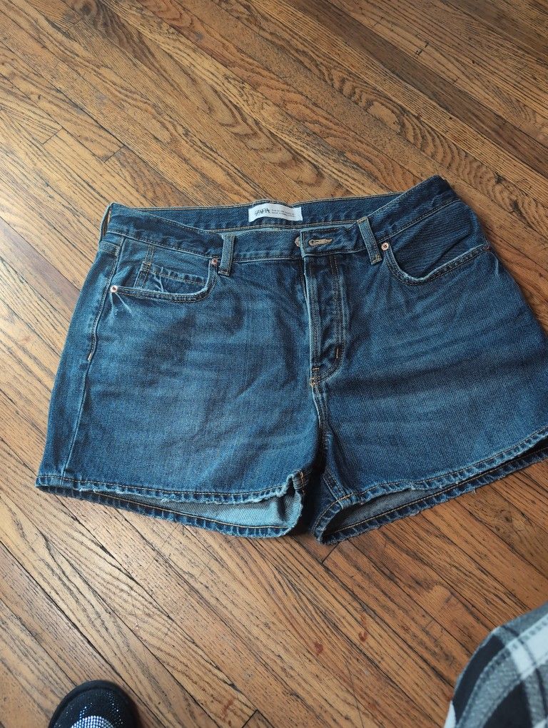 Zara Shorts 