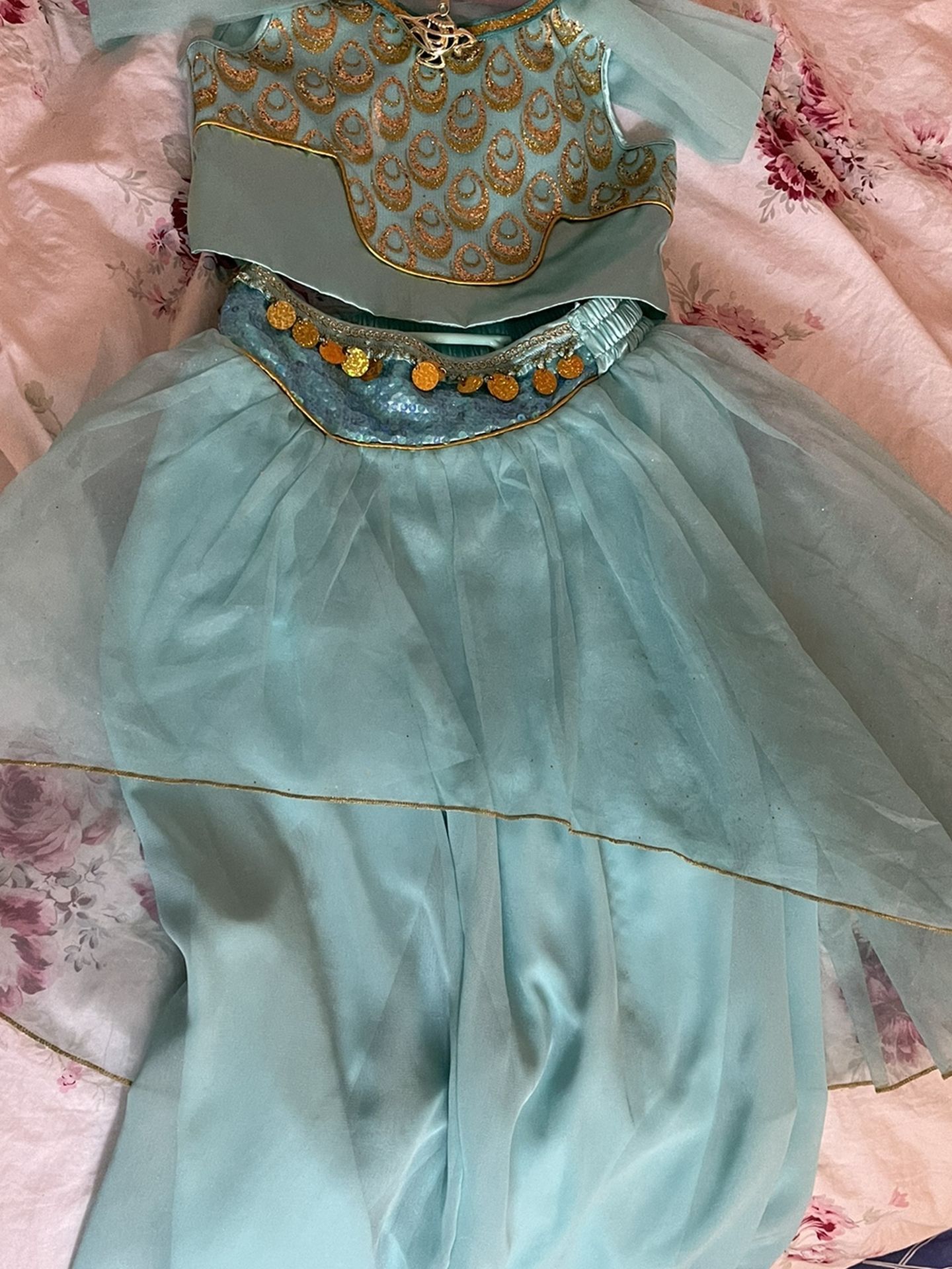 Princess Jasmine costume from Disneyland