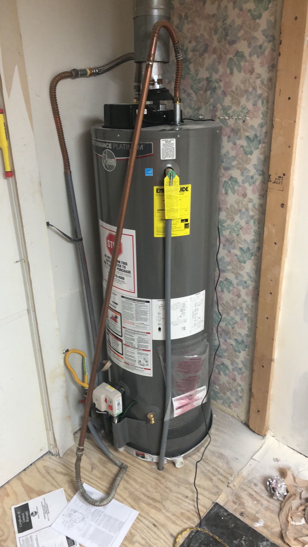 Water heater (natural gas)