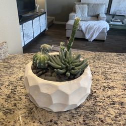 Upscale Succulent Planter Decor