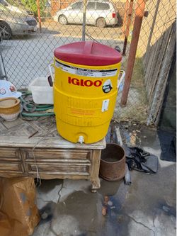5 Gallon Igloo