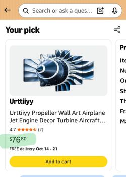 Aviator Wall Art
