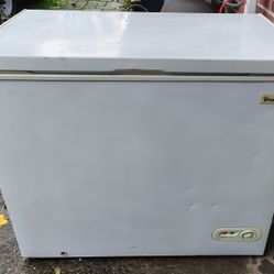 Chest Freezer Delivered 