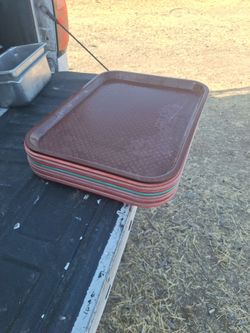 10 food trays
