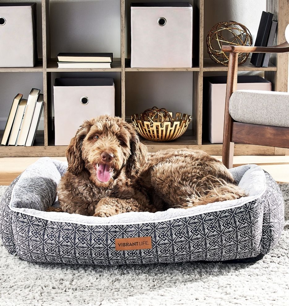 Vibrant Life Lounger Pet Bed, Large, Black Geo 36" x 27"
