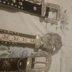 Ladies Cowgirls  Belts And Pursesj
