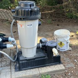 Filter And Pump