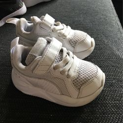Pumas 