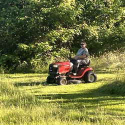 Troy Built   Pony 45,