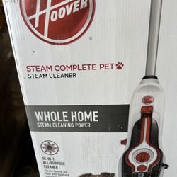 Steam Cleaner 