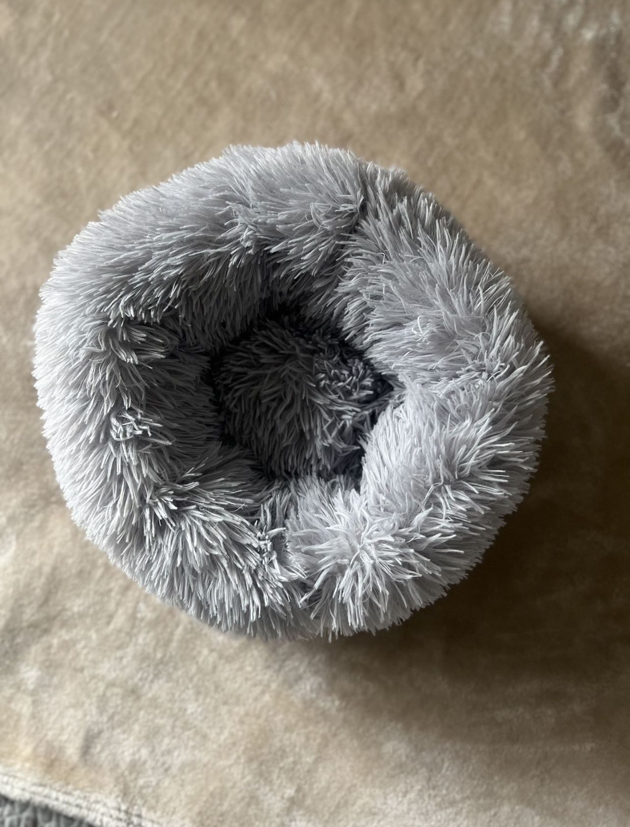 New Round Beds For Kitties 