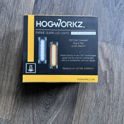 Motorcycle Lights (Hogworkz)