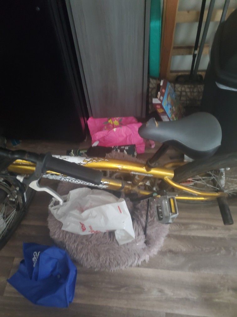 Mongoose BMX 20in