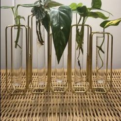 World Market Floral/Plant/Flowers Brass Bud Vase With Glass Test Tubes 🧪 