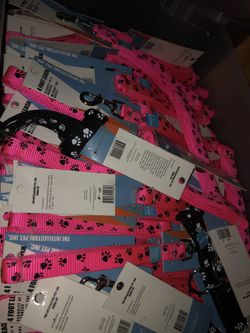 Dog collars and leashes, custom design.