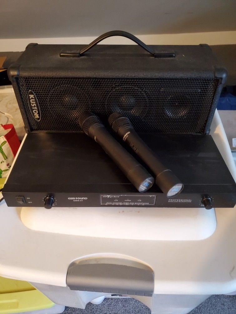 Av Mic And Speaker System