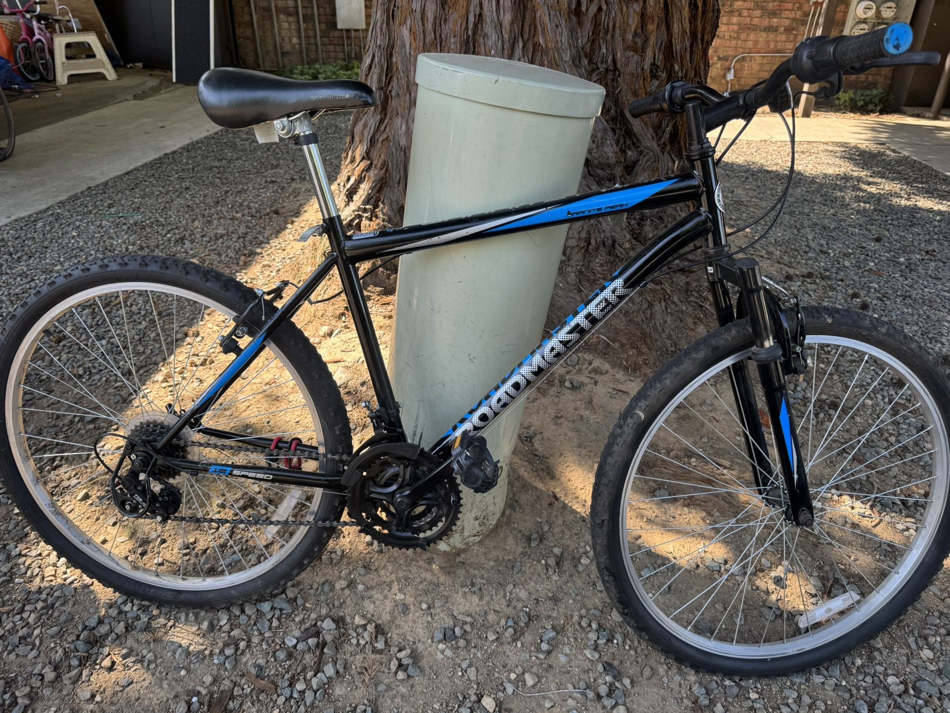 Mountain Bike Roadmaster Gate For The Summer Ride