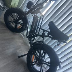 25 MPH Electric Bike